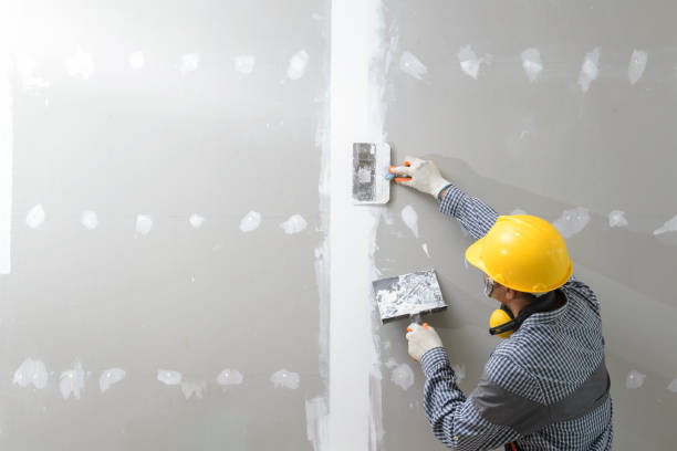 Mold Documentation for Insurance Claims in Williamstown, KY