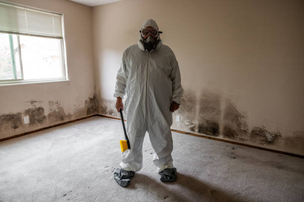 Best Post-Construction Mold Inspection  in Williamstown, KY